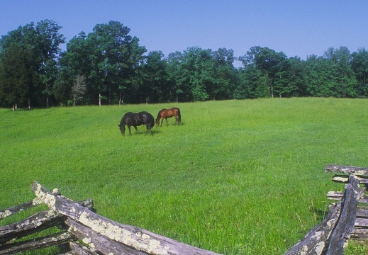 Oscar Blevins Homestead